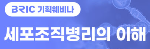 스크린샷 2025-12-31 101952.png